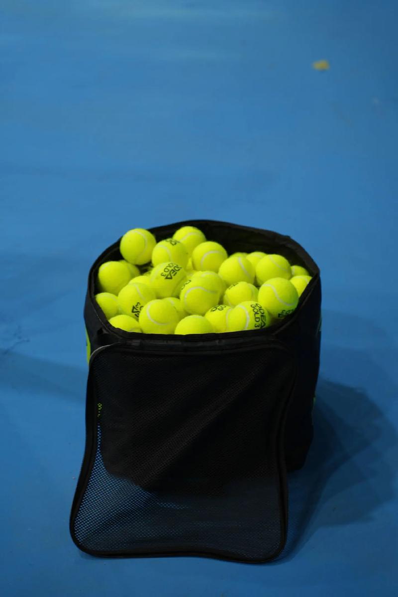 职业生涯的 职业生涯的