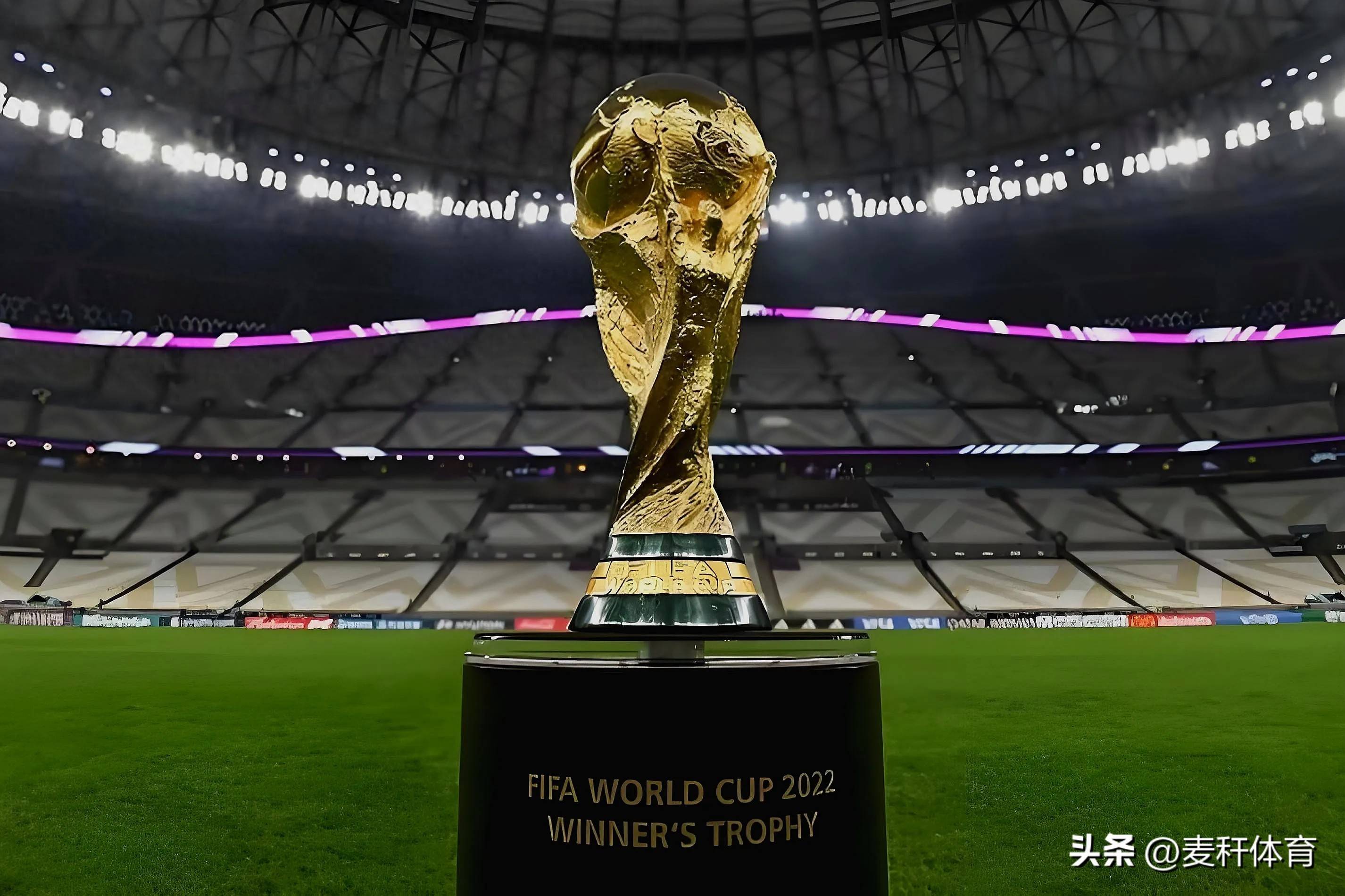 成放大优势 成放大优势